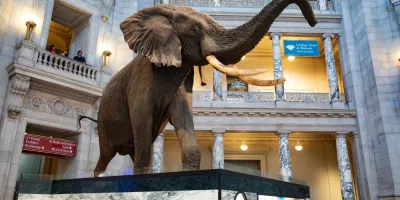 Smithsonian National Museum of Natural History