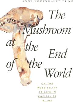 Anna Tsing! Especially "The Mushroom at the End of the World"