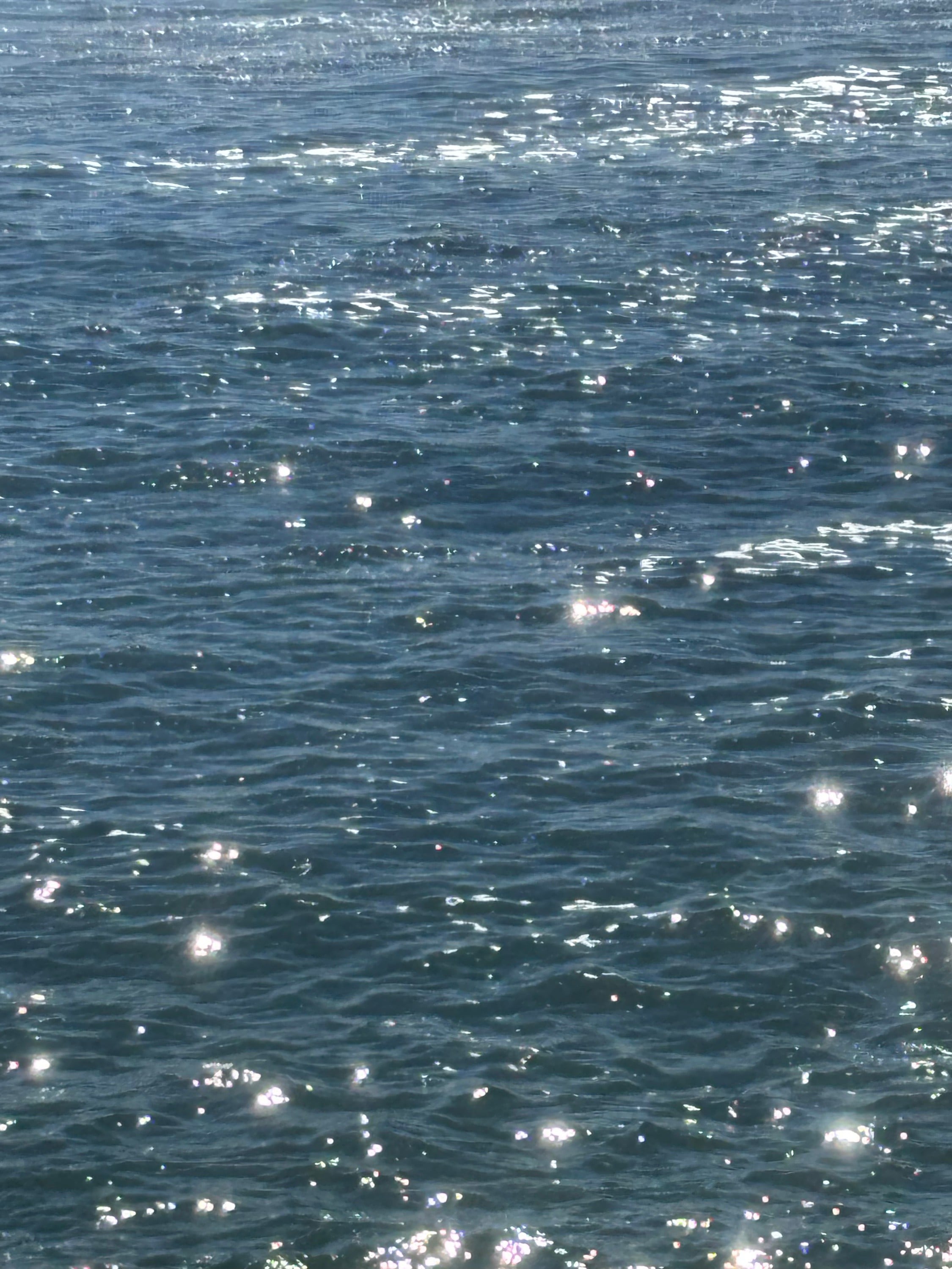 GoSwim