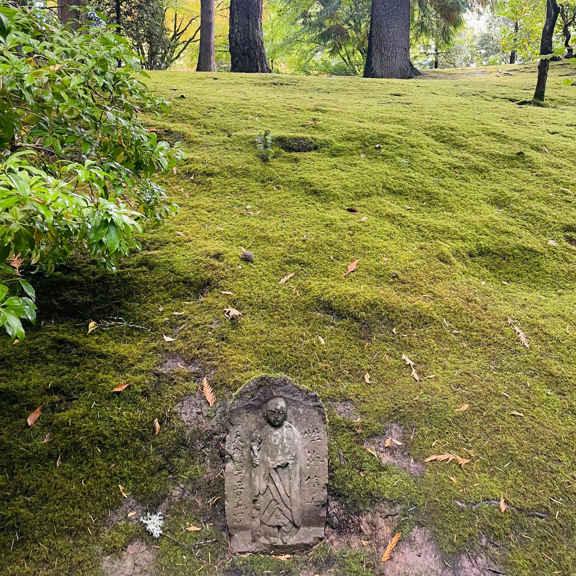 The Japanese garden in Portland, Oregon