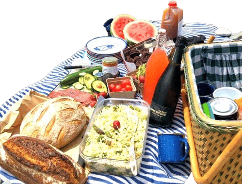 Having a picnic