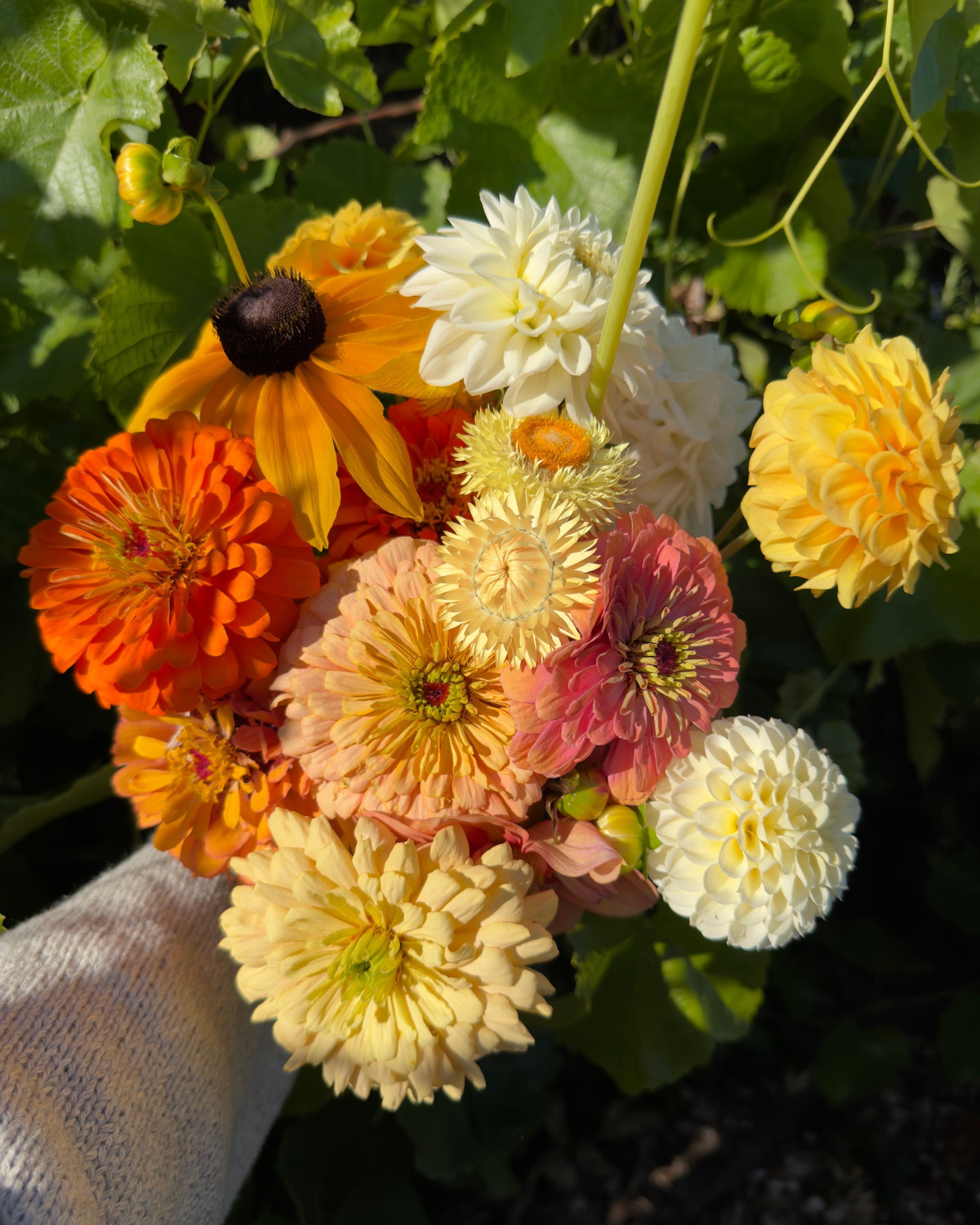 Growing your own flowers