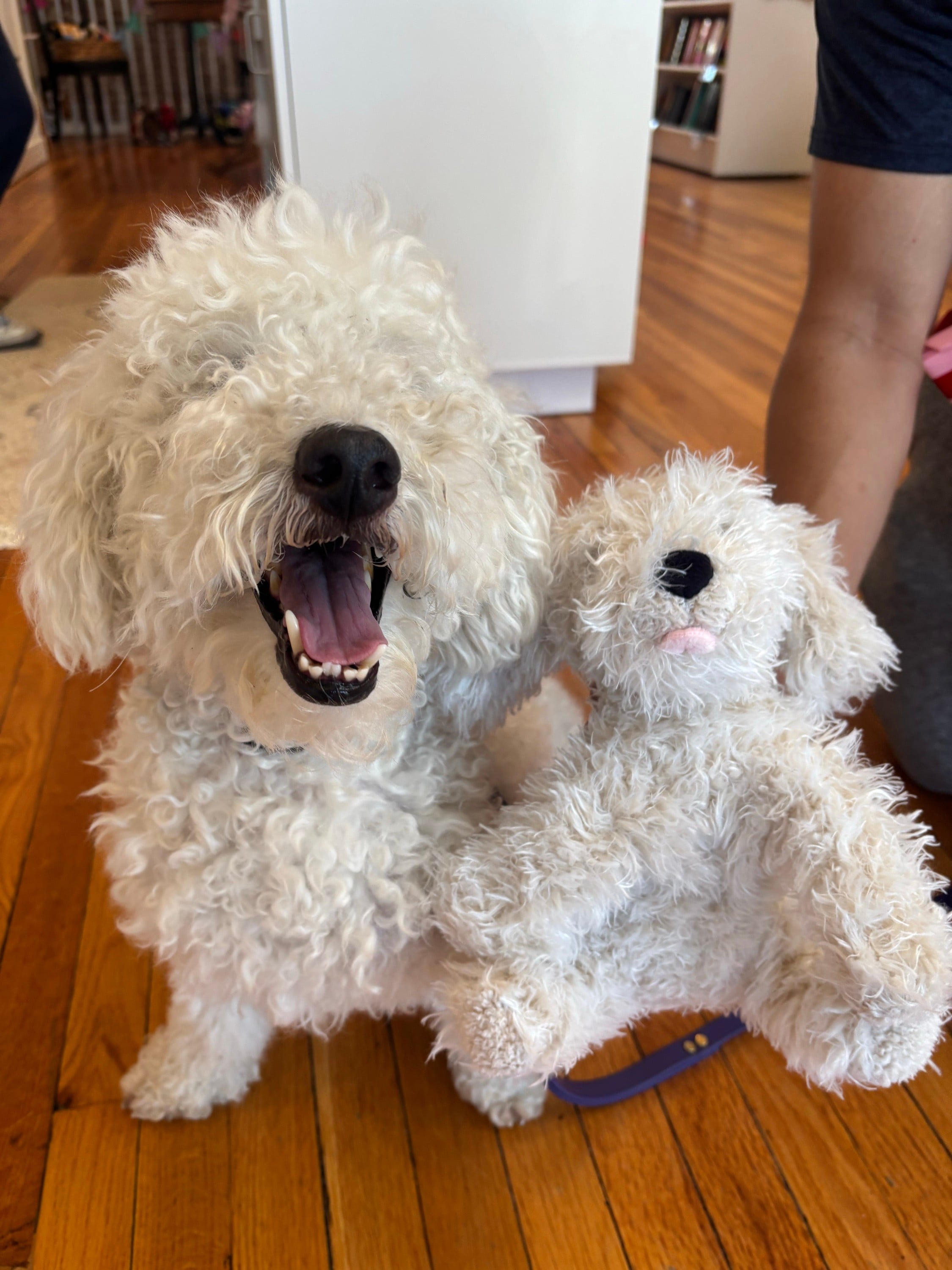 Finding a stuffed animal that matches your dog