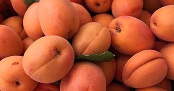 eating in season fruit