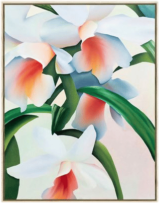 An Orchid Dreaming