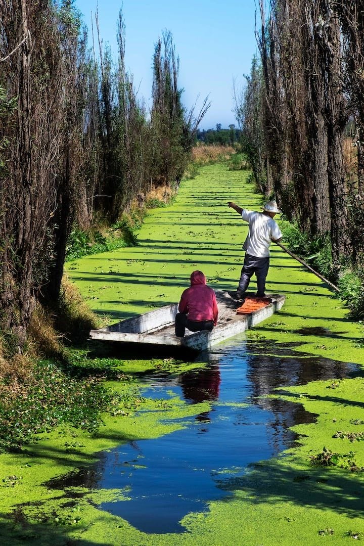 Xochimilco’s pre-Hispanic Chinampas