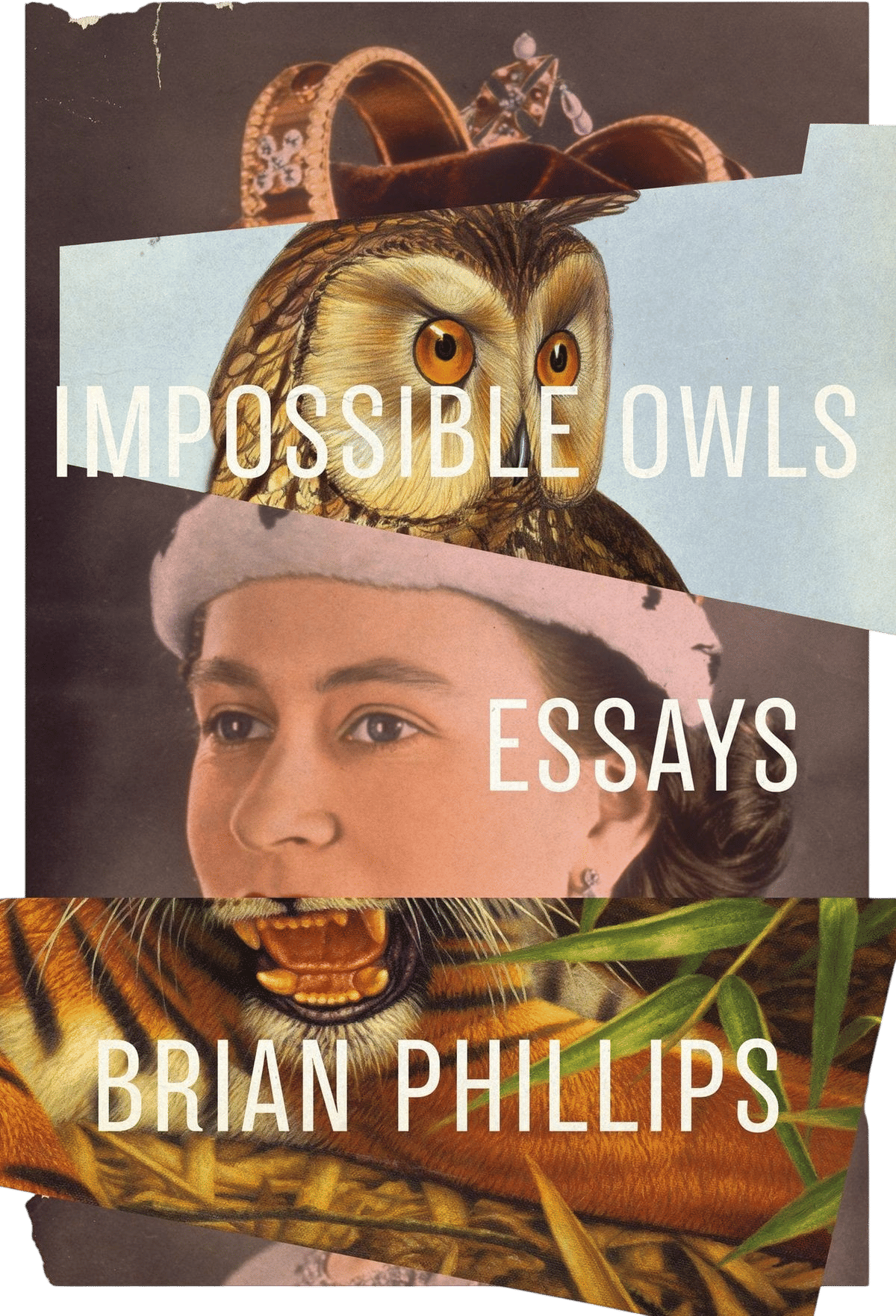 Impossible Owls // Brian Phillips