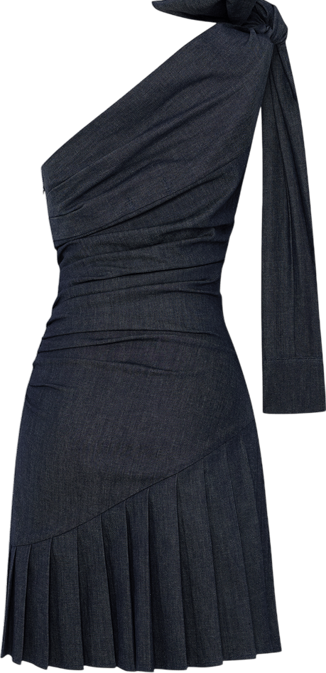 DIANA DRESS IN DENIM