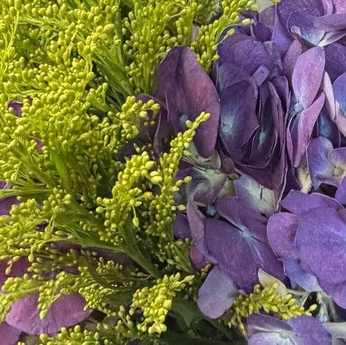 Lovely Scents
