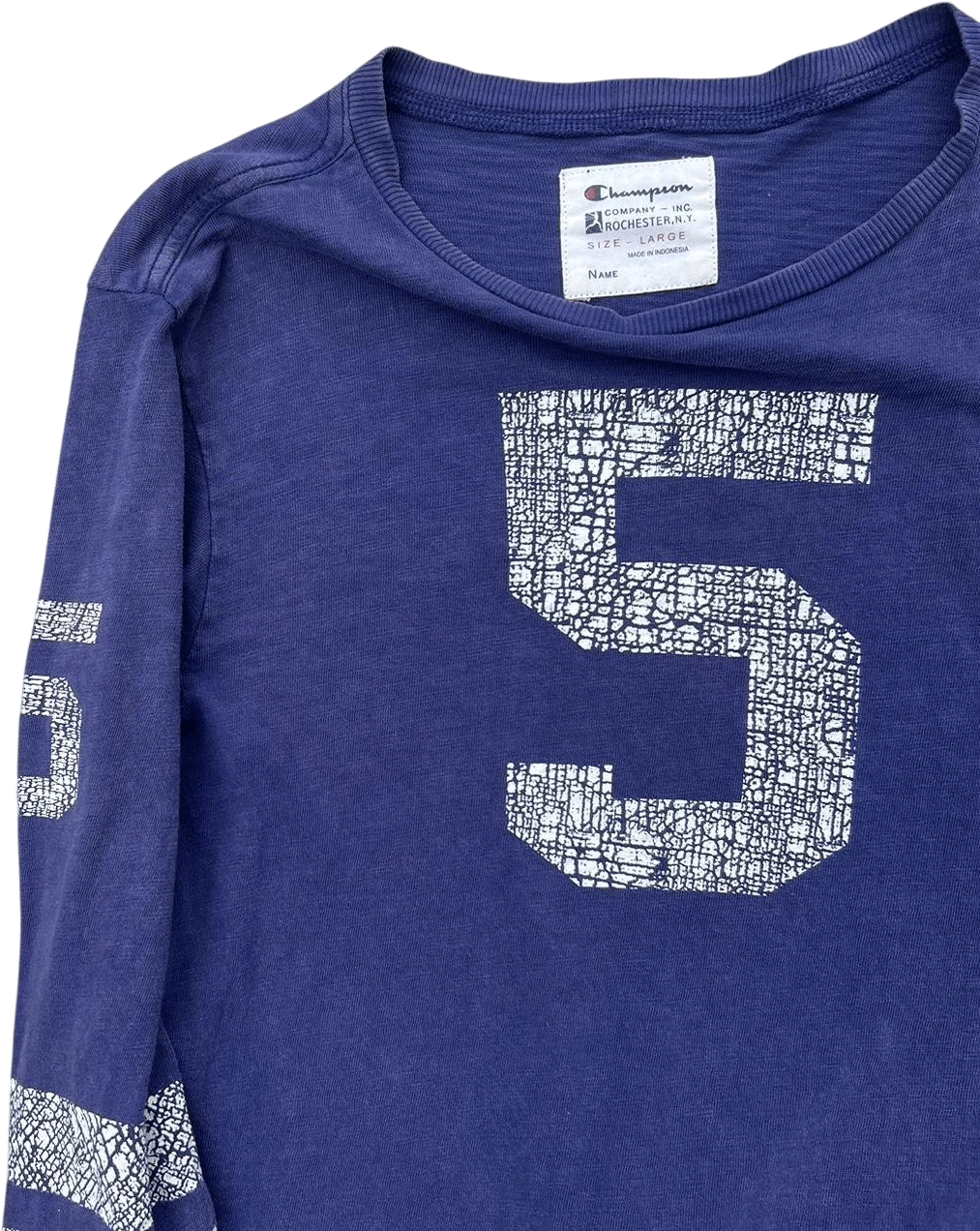 Champion Men's Navy and Blue T-shirt