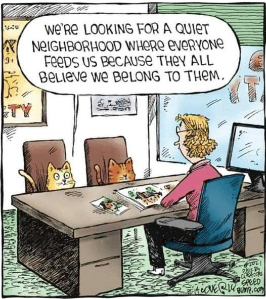 Looking For A Quiet Neighborhood . . .