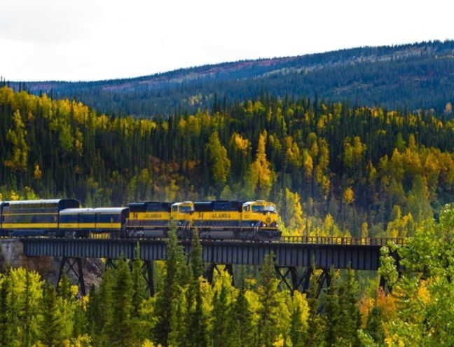 Alaska by train/car