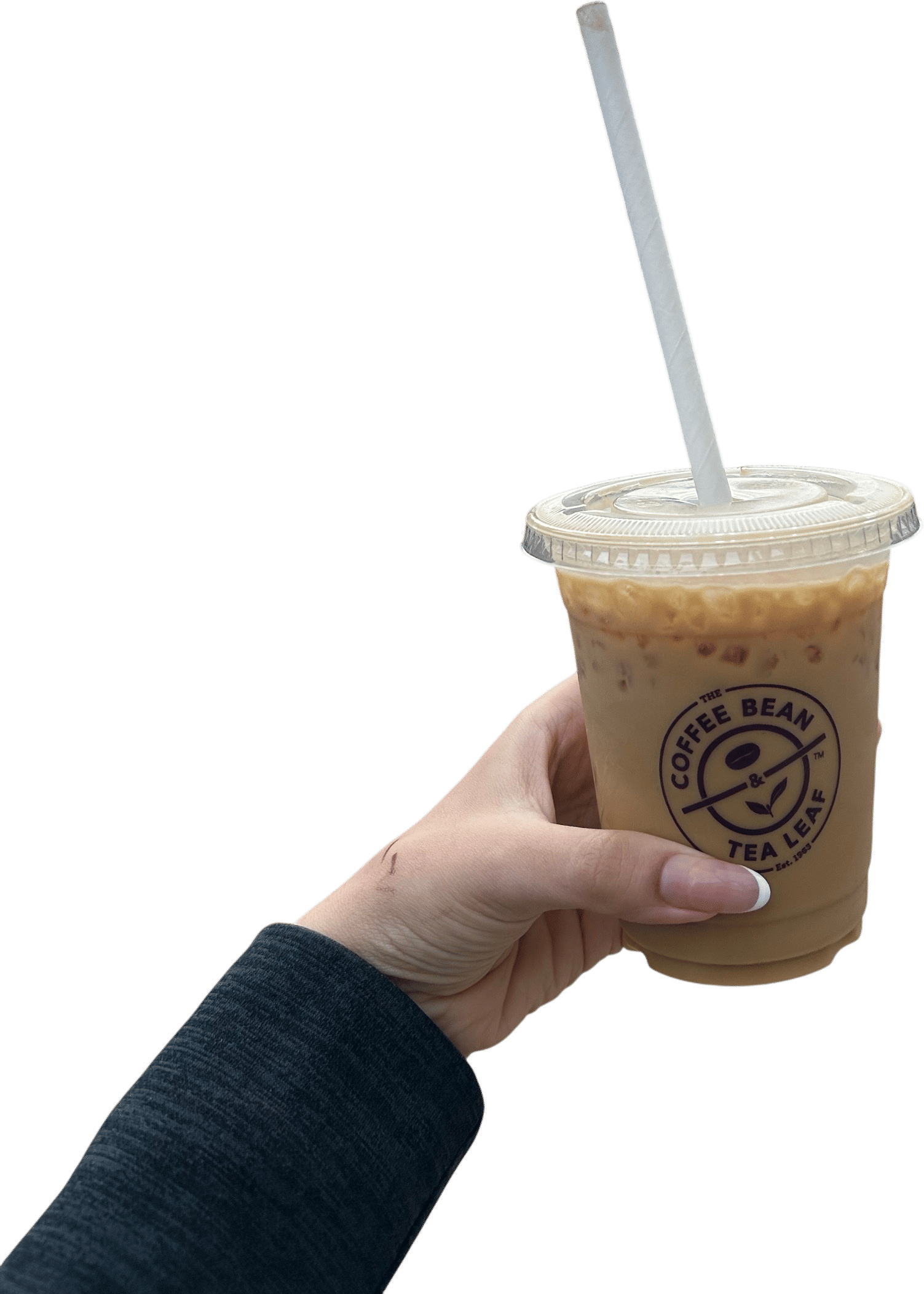 coffee bean tea and leaf’s  iced cookie butter latte
