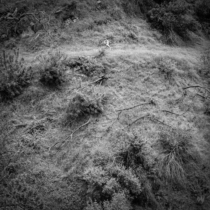 Animal Poem — Anna Tivel
