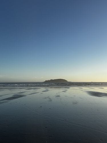 Tofino