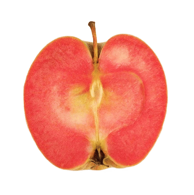 Lucy Glo Apple