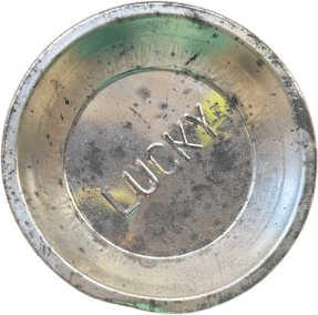 “Lucky” Gold Pan