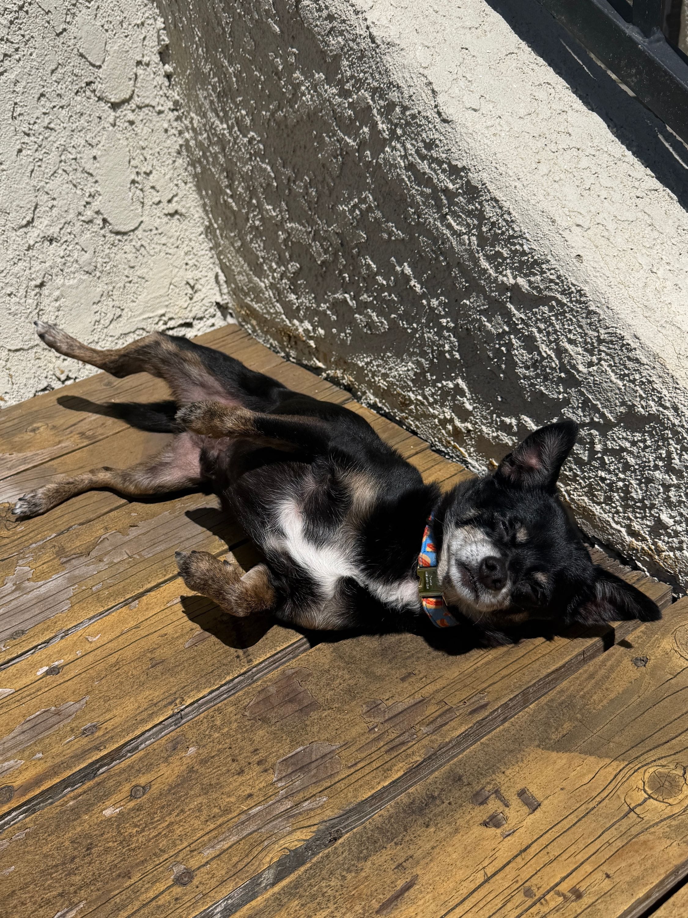 Immediately sunbathe upon waking