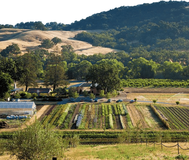 Front Porch Farm