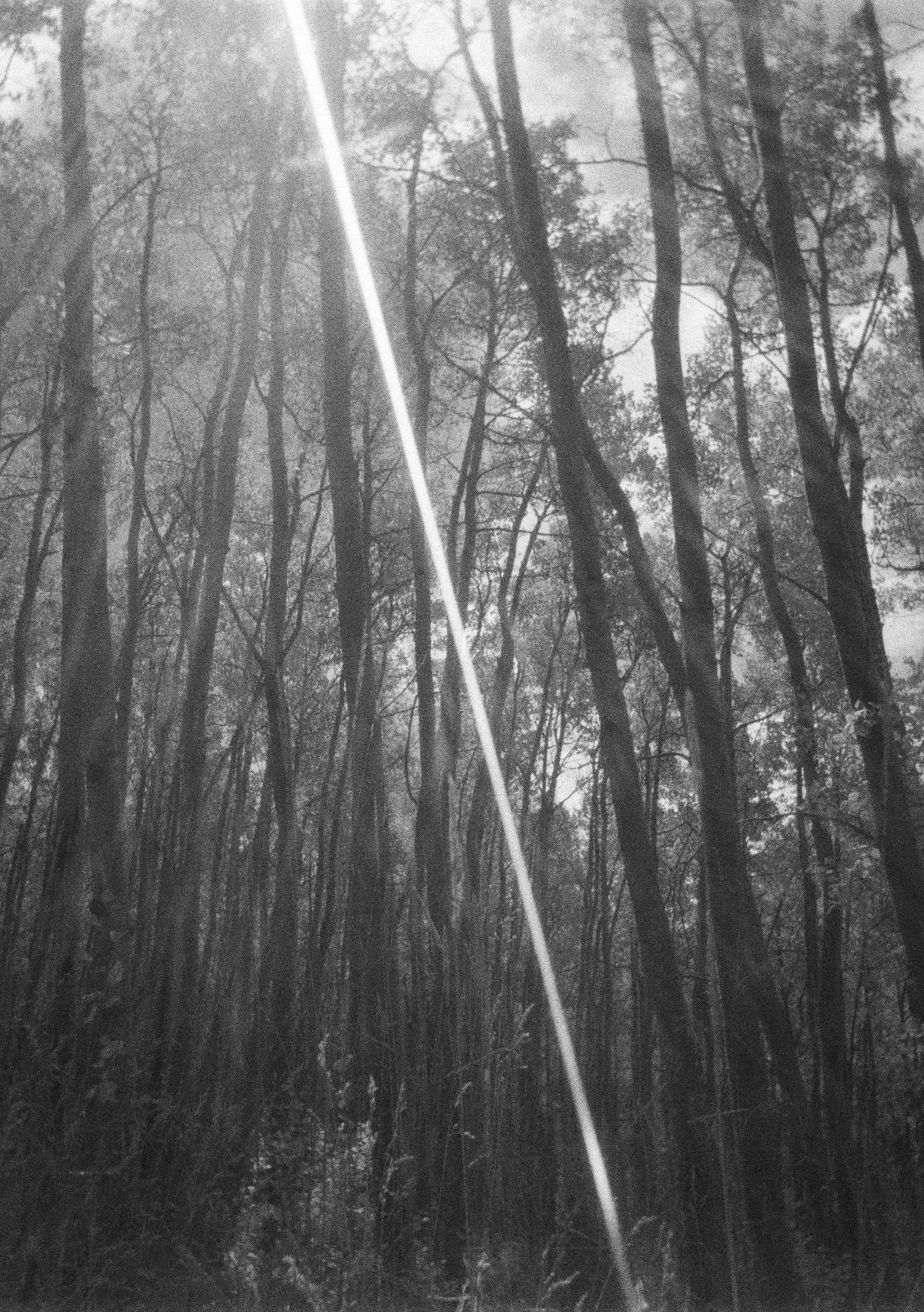 Meditation
