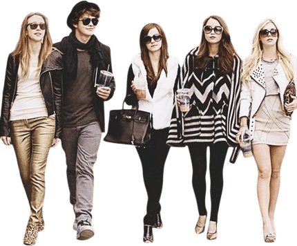 The Bling Ring by Nancy Joe Sales
