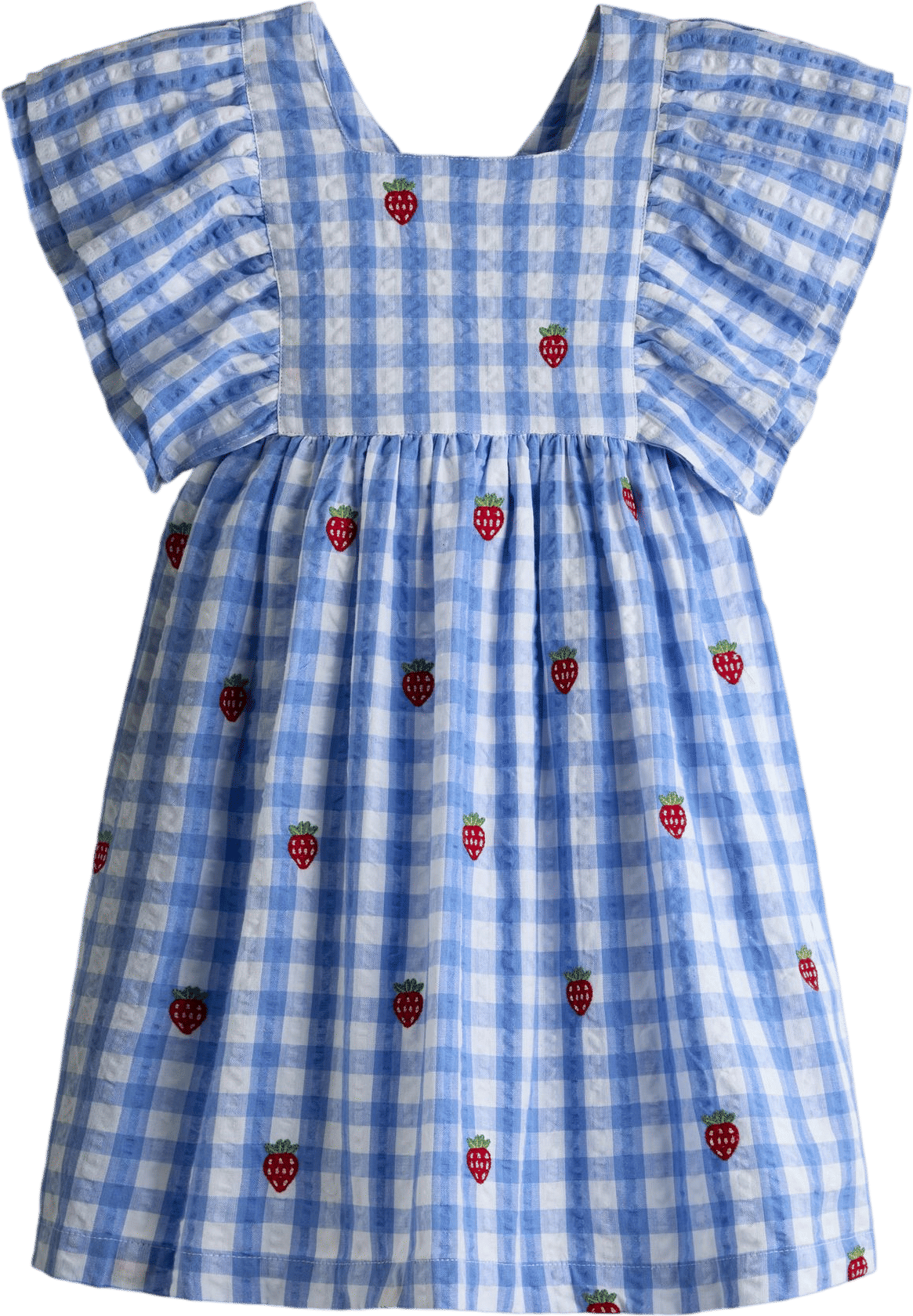 Blue Gingham Strawberry Frill Square Neck Dress