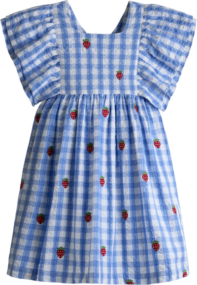 Blue Gingham Strawberry Frill Square Neck Dress