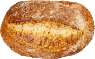 Rosemary Parmesan Sourdough Loaf