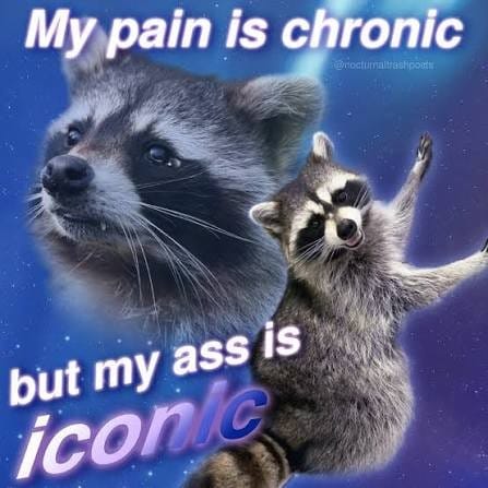 My Pain Is Chronic But My Ass Is Iconic