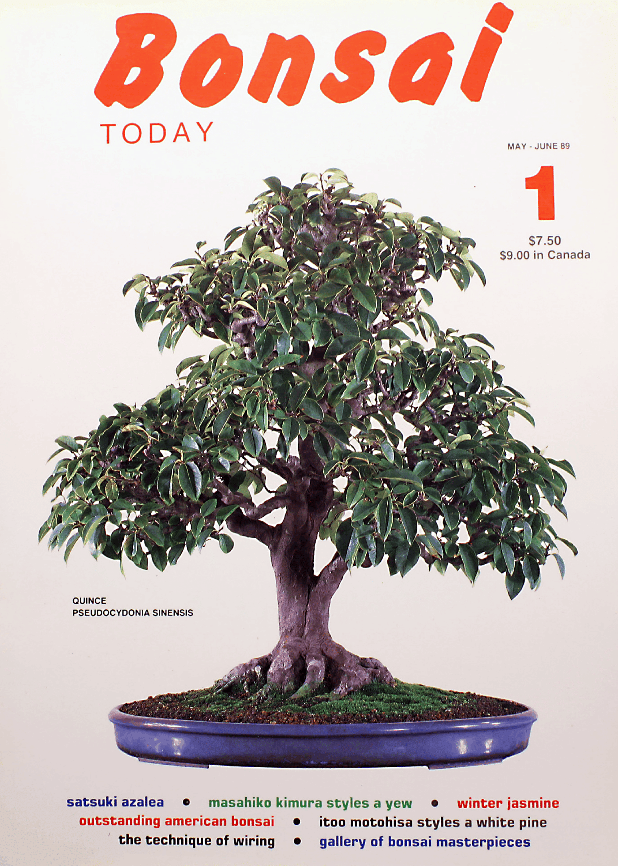 Bonsai Today (1989)