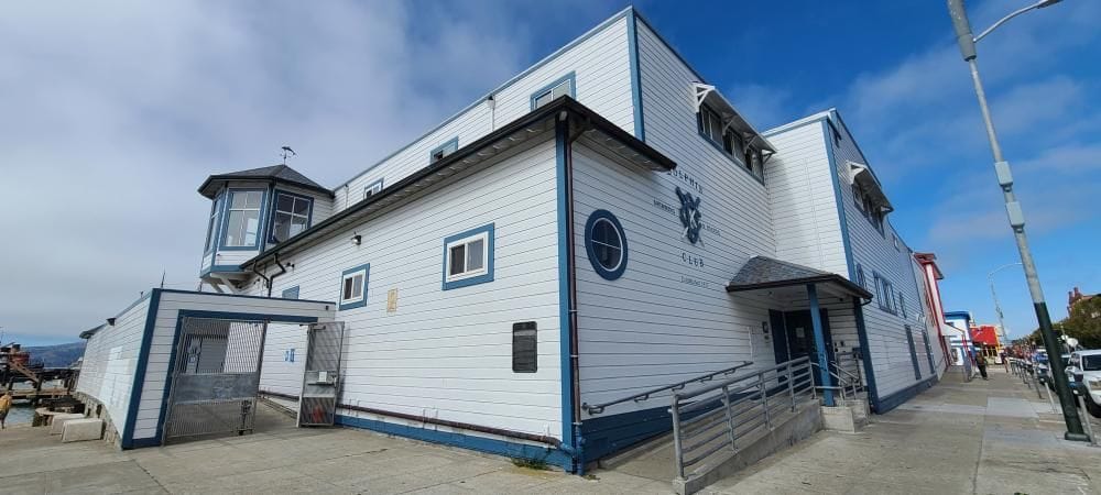 The dolphin club