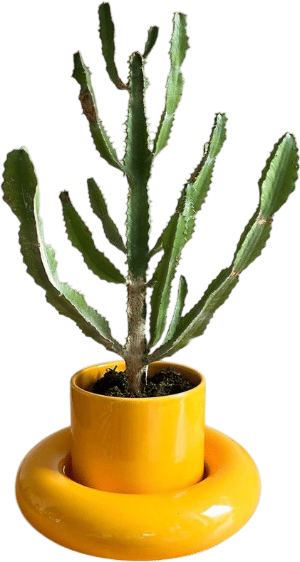 Chunky Flower Pot