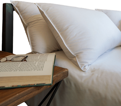Down Pillow (700 Fill)