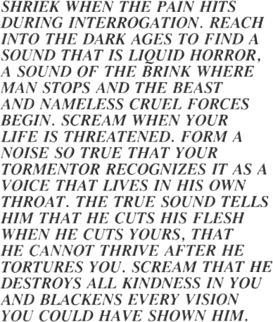 Inflammatory Essays