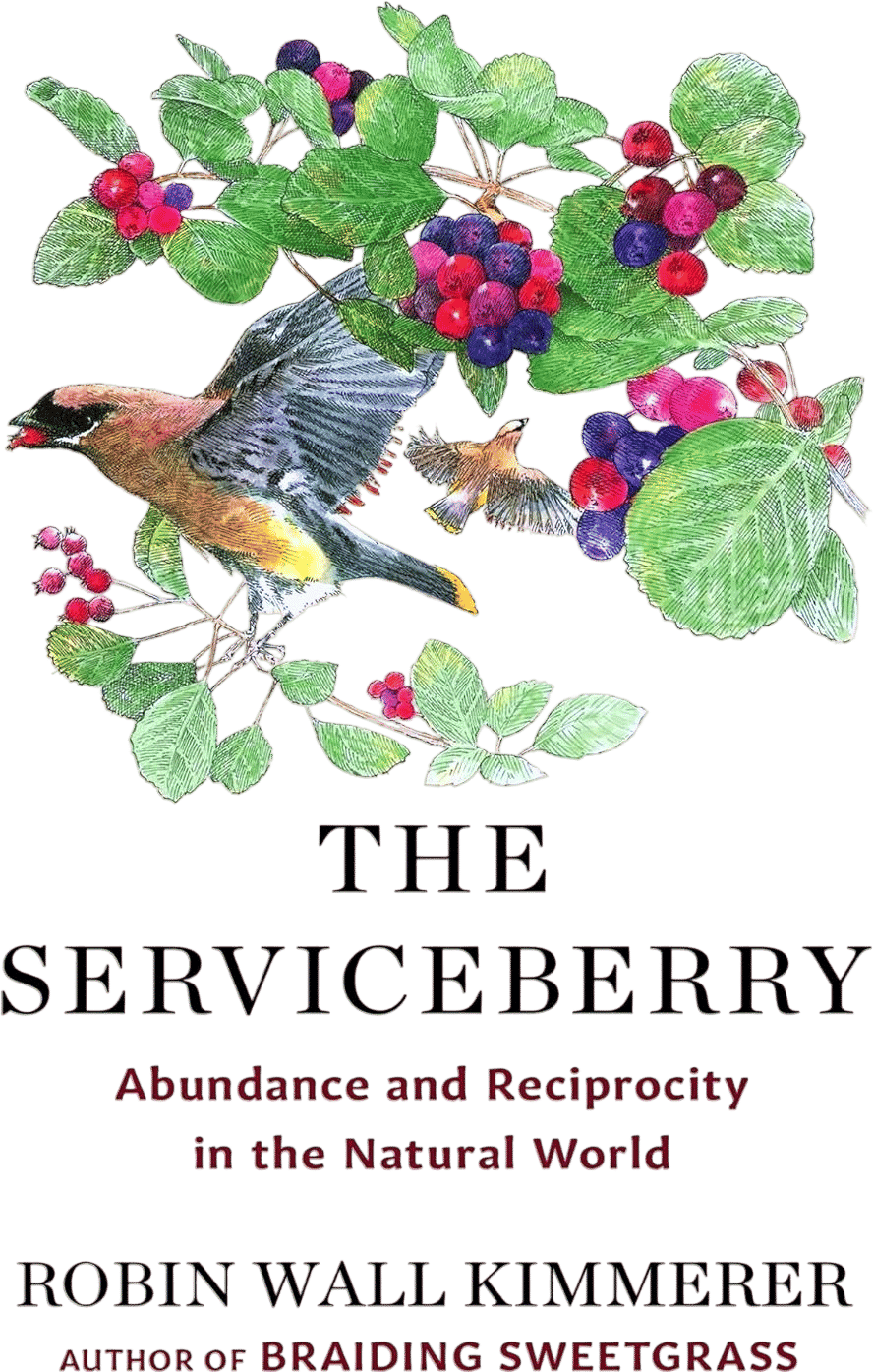 The Serviceberry: Abundance and Reciprocity in the Natural World (Robin Wall Kimmerer)