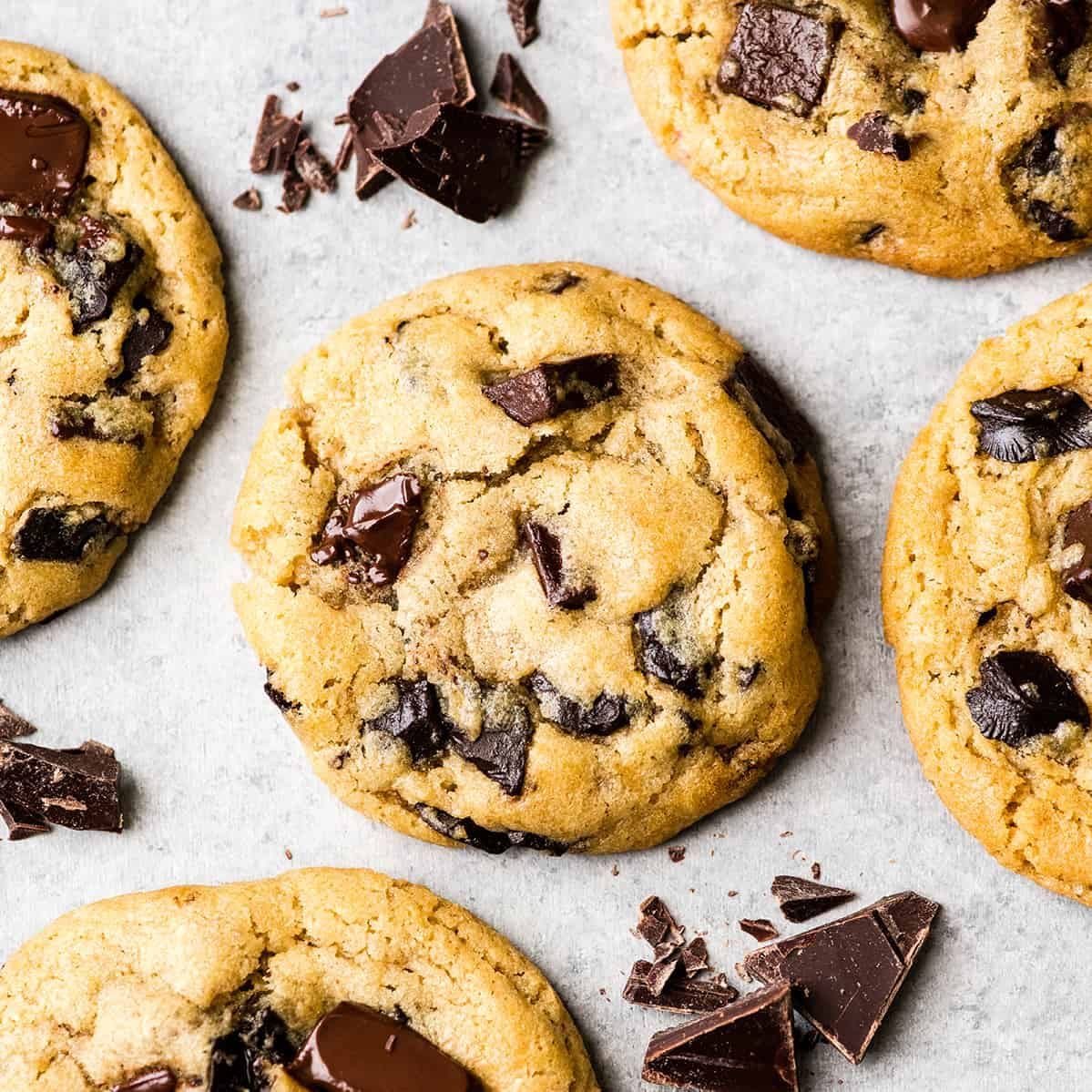 chocolate chip cookie