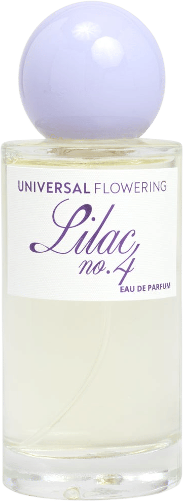 lilac no.4