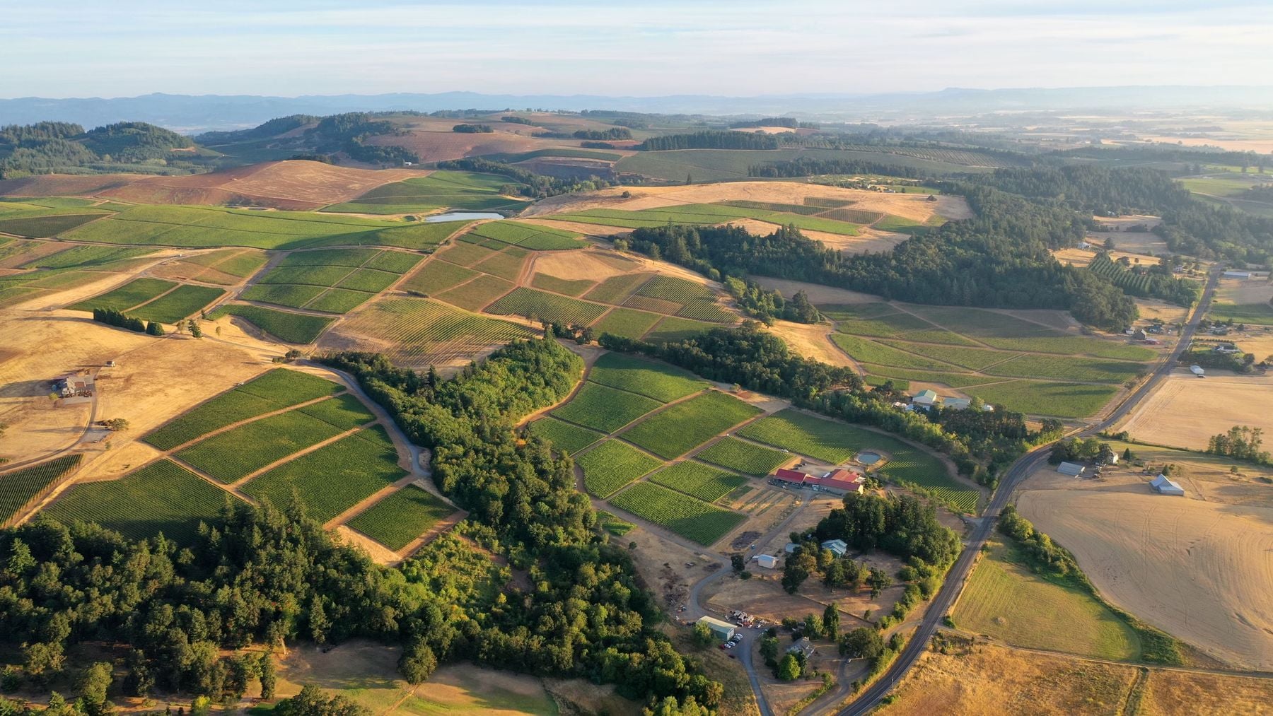 Cristom Pinot Noir