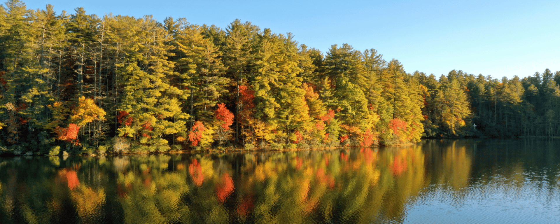 Kanuga