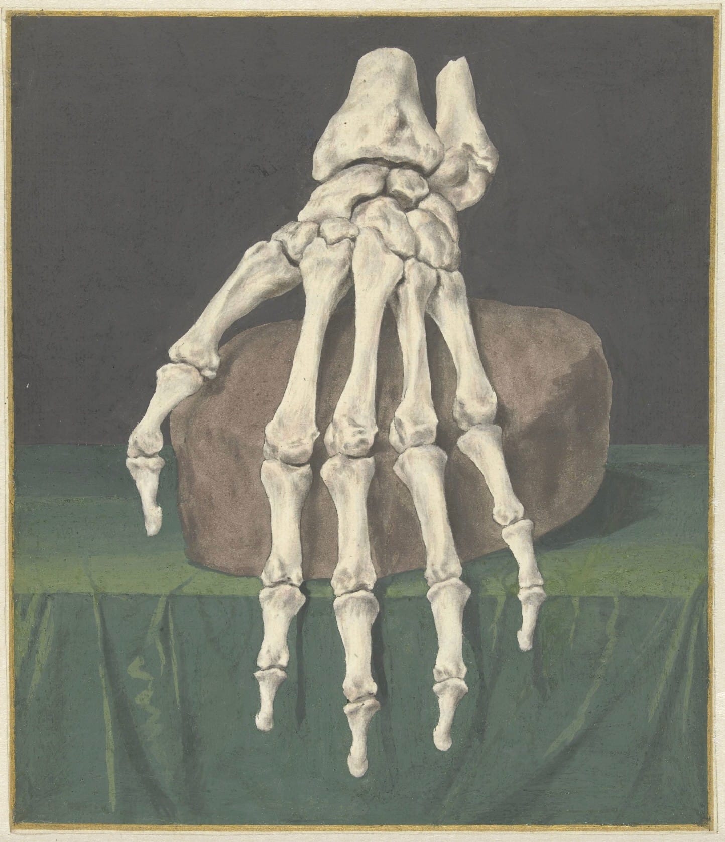 "Skelet van een hand" by Jan l'Admiral, 1709-1773