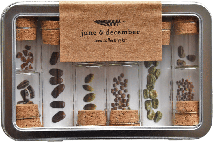 Bottle up your favorite heirloom or wildflower seeds
