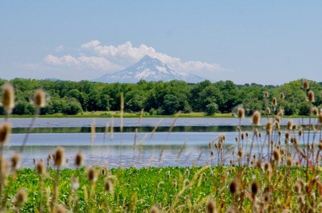sauvie island