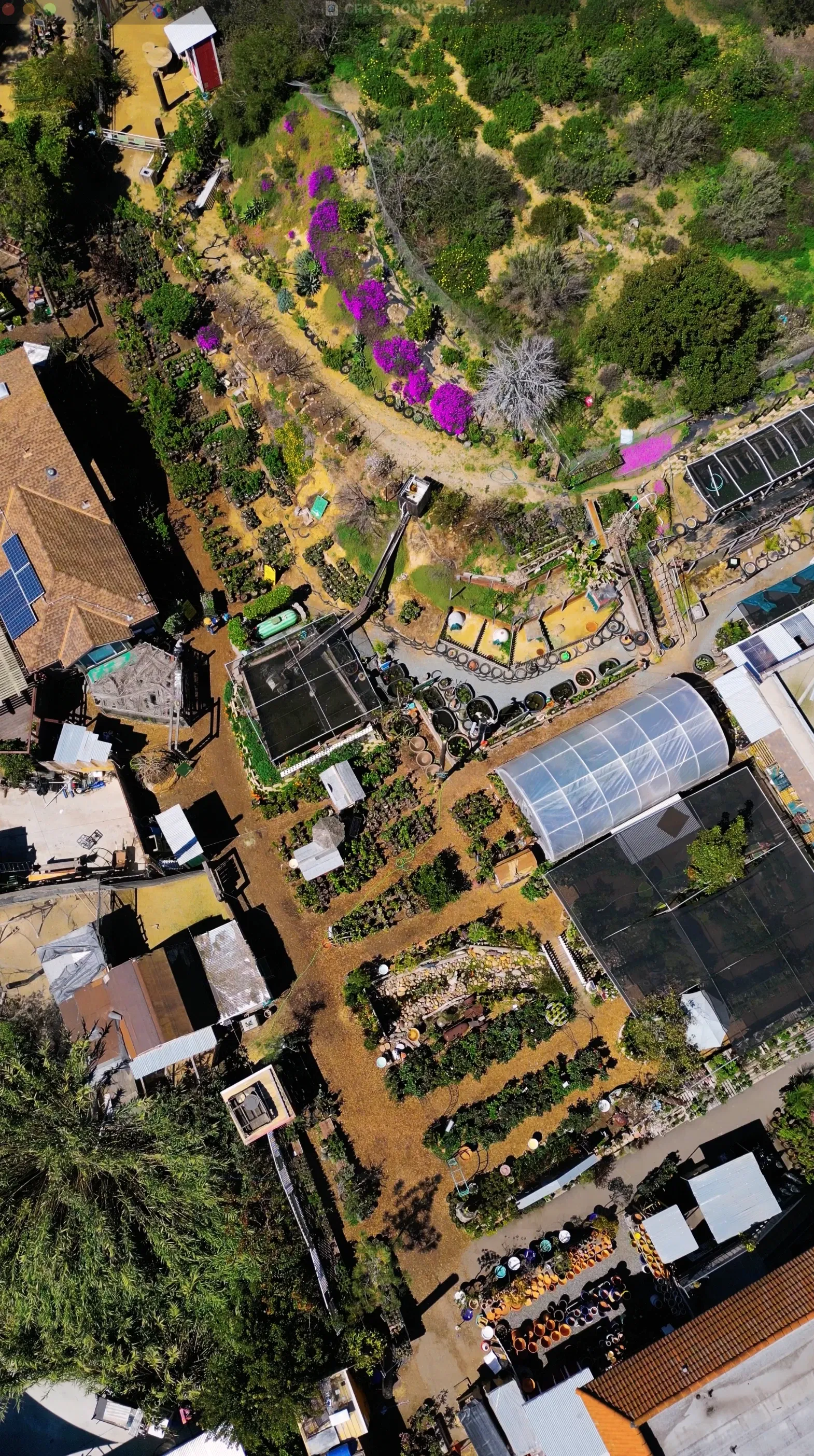 City Farmers Nursery