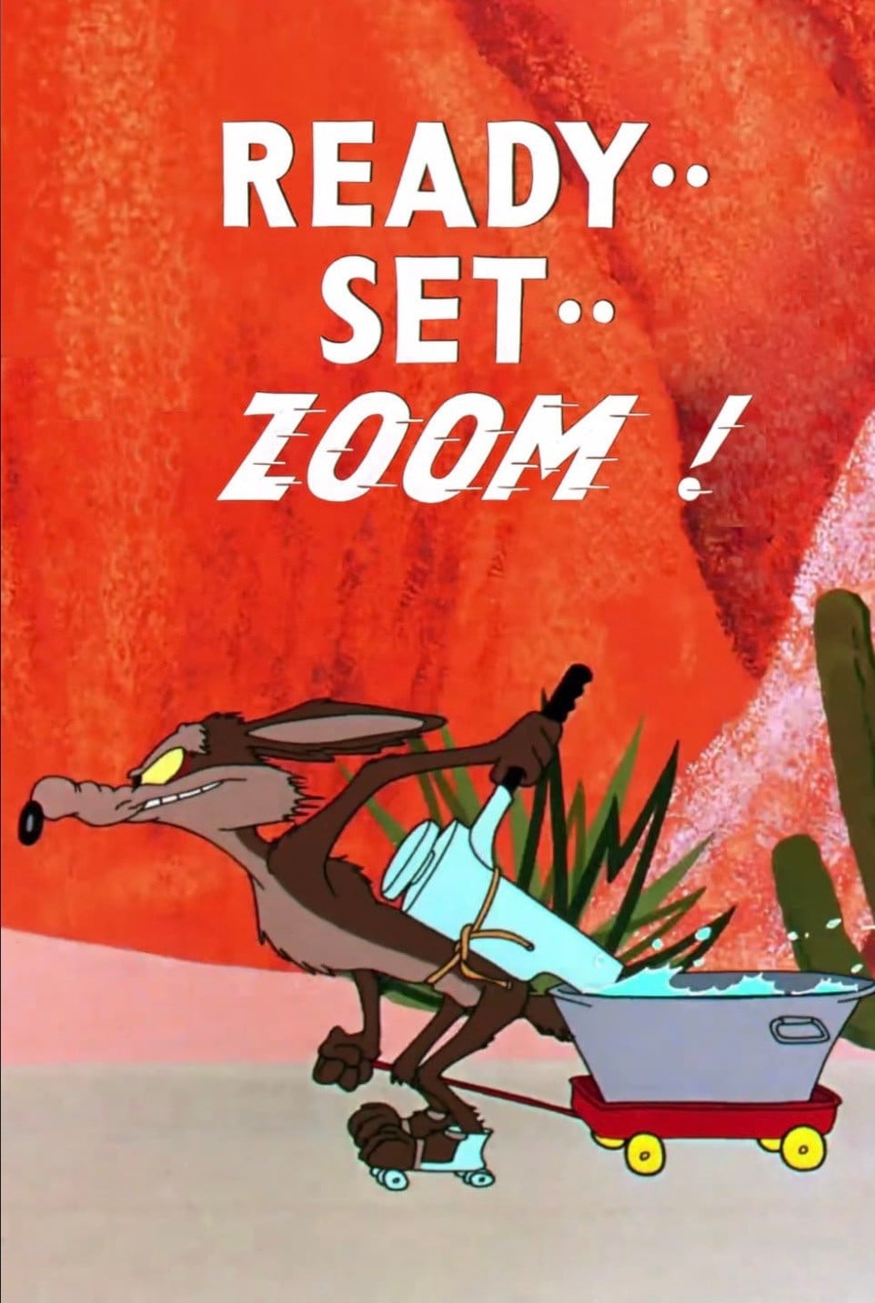 Ready .. Set .. ZOOM!