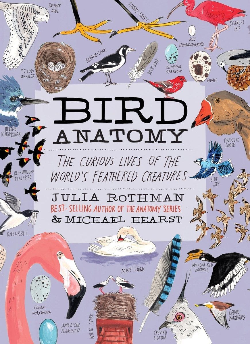 Bird Anatomy by Julia Rothman