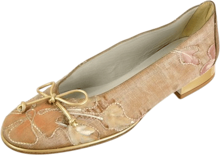 Stuart Weitzman Embroidered Ballet Flats