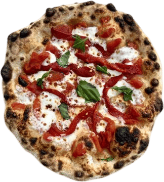 Homemade Sourdough Pizza