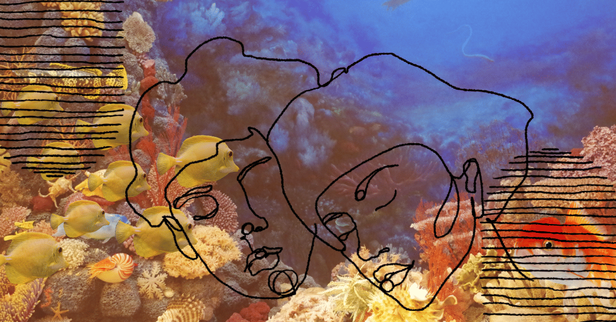 Little Fish (Aja Gabel)