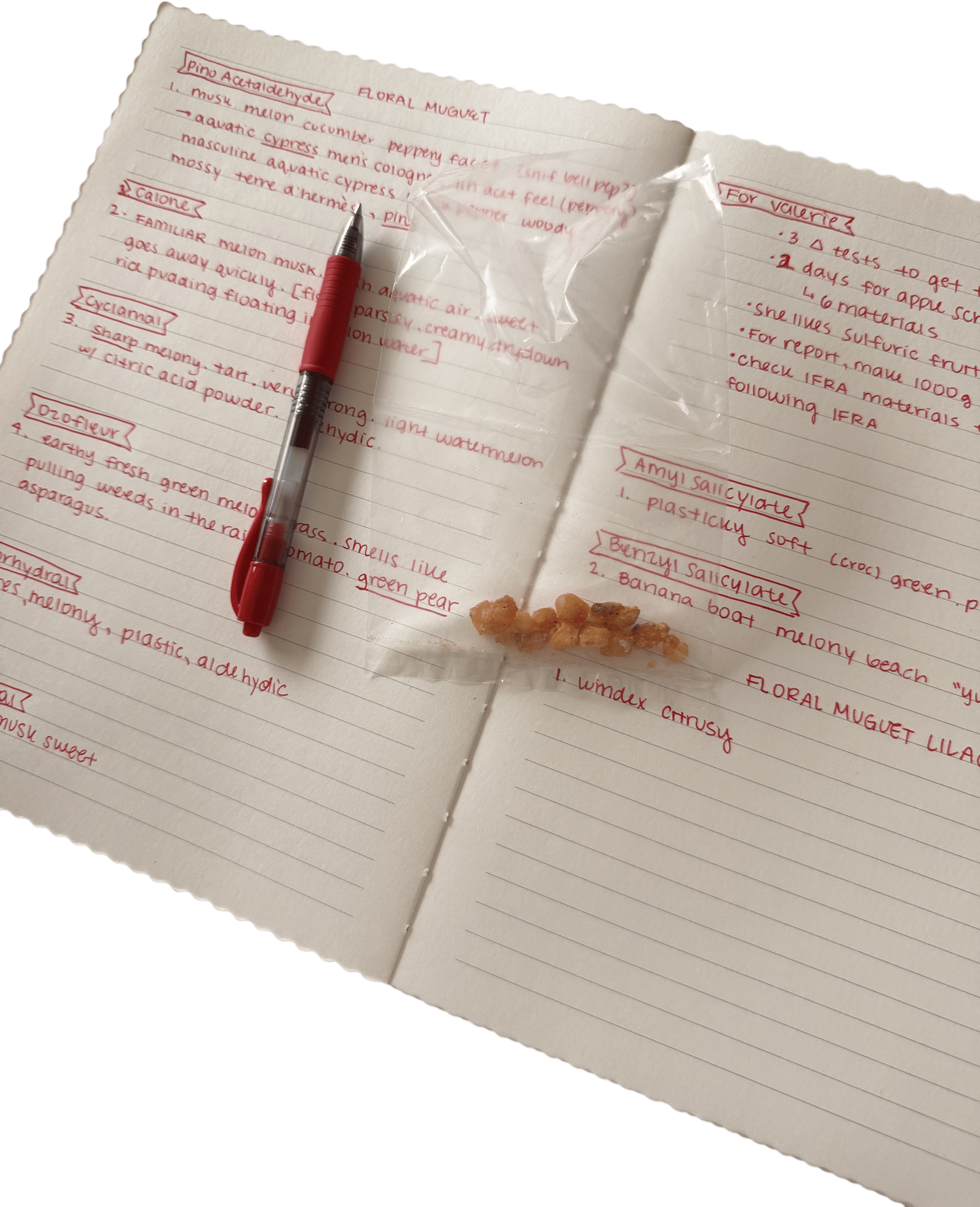 Set of 3 Large Deckled Edge Notebooks, Petals