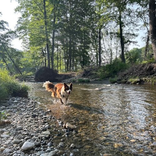 Western Massachusetts Recs